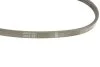 Ремінь генератора Volvo S60/S80/V60/V70/XC60/XC70 2.0-2.5 06-16 (3pk628) BOSCH 1 987 946 151 (фото 5)