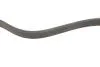Ремінь генератора Ford Focus II/C-Max/Volvo C30/S40 II/V50 1.8/2.0 04-12 (6PK1249) BOSCH 1 987 946 173 (фото 3)