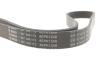 Ремінь генератора Ford Focus II/C-Max/Volvo C30/S40 II/V50 1.8/2.0 04-12 (6PK1249) BOSCH 1 987 946 173 (фото 4)