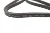 Ремень генератора Volvo C70/S60/S70/S80/XC90 2.0T/2.4D/3.0T6 98-14 (6DPK1825) BOSCH 1 987 946 202 (фото 7)