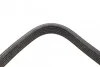 Ремень генератора Volvo C70/S60/S70/S80/XC90 2.0T/2.4D/3.0T6 98-14 (6DPK1825) BOSCH 1 987 946 202 (фото 9)
