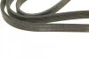 Ремінь генератора Volvo C70/S40/S60/S80/V40/V70/XC70/XC90 95-14 (6PK1841) BOSCH 1 987 946 208 (фото 4)