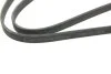 Ремень генератора BMW 1 (E81/E87)/3 (E90) 2.0/3.0d 06-12 (N47) (6PK1698) BOSCH 1 987 946 215 (фото 5)