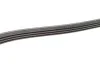 Ремінь генератора Honda Civic 1.3 Hybrid 06- (4PK1600) BOSCH 1 987 946 234 (фото 5)