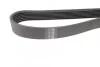 Ремінь генератора BMW 7 (E38) 94-01/Nissan Juke/Qashqai 1.6i 07- (7PK1043) BOSCH 1 987 946 249 (фото 3)