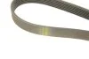 Ремінь генератора Toyota Camry 3.5 V6 11-17/ Lexus GS/ IS/ ES 2.5-3.5 05- (7PK1550) BOSCH 1 987 946 254 (фото 3)