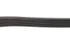 Ремінь генератора Renault Trafic/Opel Vivaro 2.0CDTi 06-/MB E-class 3.0 11-13/Toyota Avensis 05-08 (7PK2000) BOSCH 1 987 946 259 (фото 3)