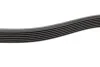 Ремінь генератора Renault Clio 1.2 16V 05-14 (7PK880) BOSCH 1 987 946 264 (фото 4)