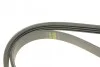 Ремінь генератора Suzuki Grand Vitara 2.5 98-03/Kia Carens 1.8 97-04/Lexus IS 200 2.0 99-05(4PK1080) BOSCH 1 987 946 274 (фото 3)