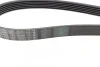 Ремінь генератора Peugeot 406 96-04/Citroen C4 Picasso 2.0i 07-13 (6PK1480) BOSCH 1 987 946 276 (фото 8)