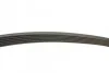 Ремінь генератора Ford Connect 1.8 TDCI 02-13 (6PK1720) BOSCH 1 987 946 295 (фото 8)