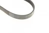 Ремінь генератора Ford Connect 1.8 TDCI 02-13 (6PK1720) BOSCH 1 987 946 295 (фото 9)