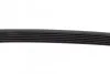 Ремінь генератора VW Golf/Skoda Octavia 2.0i 04-13/Mazda 2/3 1.5 13-/Kia Ceed 1.4/1.6 07- (6PK955) BOSCH 1 987 946 298 (фото 4)