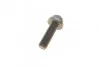 Комплект ГРМ VW T4 1.9D/TD 92-03 (137x25) BOSCH 1 987 946 325 (фото 11)