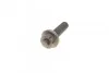 Комплект ГРМ VW T4 1.9D/TD 92-03 (137x25) BOSCH 1 987 946 325 (фото 10)