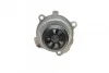 Комплект ГРМ + помпа Audi A3/A4/Skoda Octavia/WV Caddy III/Golf IV/V/Passat/Touran 1.6 95- (23x138z) BOSCH 1 987 946 391 (фото 6)