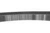 Комплект ГРМ + помпа Skoda Octavia 96-10/VW Golf IV/Bora 96-05/Audi A4 1.8/1.8T 95-03 (23x150z) BOSCH 1 987 946 493 (фото 14)