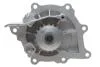 Комплект ГРМ + помпа Citroen C5/C6/C8/Fiat/Ford/Peugeot 2.2HDI 06- (25.4x118z) BOSCH 1 987 946 496 (фото 14)