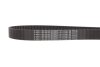 Комплект ГРМ Opel Astra H/Corsa D 1.7CDTI 06- BOSCH 1 987 946 727 (фото 10)