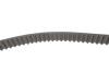 Ремінь ГРМ Audi A3/A4/A6/A7/Q2/Q3/Q5/Skoda Octavia/VW Golf VIII 2.0D/2.0DH 15- (25x149z) BOSCH 1 987 946 822 (фото 3)