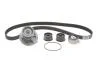 Комплект ГРМ + помпа Opel Frontera/Vectra B/Omega B 2.2 i 95-03 (24x171z) BOSCH 1 987 946 901 (фото 1)