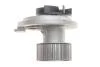 Комплект ГРМ + помпа Opel Frontera/Vectra B/Omega B 2.2 i 95-03 (24x171z) BOSCH 1 987 946 901 (фото 3)