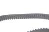 Комплект ГРМ + помпа Skoda Fabia/VW Passat/Golf 1.9TDI 00- BOSCH 1 987 946 978 (фото 13)