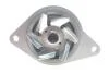 Комплект ГРМ + помпа VW Caddy/Golf/Seat Ibiza/Skoda Octavia 1.6 92-04 (19x137z) BOSCH 1 987 946 993 (фото 4)