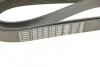 Ремінь генератора MB Atego/Axor/Vario 98- (8PK1955) (OM900/904/906/924-926) BOSCH 1 987 947 062 (фото 10)