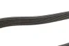 Ремінь генератора Chevrolet Captiva/Opel Antara 2.0CDTI 06- (6PK2065) BOSCH 1 987 947 555 (фото 9)