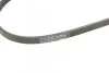 Ремінь генератора Honda CR-V 2.0 16V 4WD 95-02/Subaru Forester/Impreza/Legacy 1.5-2.5 92-09 (4PK895) BOSCH 1 987 947 559 (фото 4)