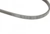 Ремінь генератора Honda CR-V 2.0 16V 4WD 95-02/Subaru Forester/Impreza/Legacy 1.5-2.5 92-09 (4PK895) BOSCH 1 987 947 559 (фото 5)