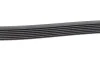 Ремінь генератора Toyota Hilux 2.5D 05-15 (7PK1516) BOSCH 1 987 947 560 (фото 4)