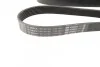 Ремень генератора BMW 3 (E90) 06-11 (M54) (7PK1855) BOSCH 1 987 947 565 (фото 7)