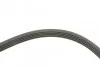 Ремінь генератора Mitsubishi Galant 2.0/2.4 GDI 96-04 (5PK1330) BOSCH 1 987 947 838 (фото 8)