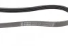 Ремінь генератора Fiat Palio 1.6/ Honda Accord IV/V 2.0 96- (5PK955) BOSCH 1 987 947 849 (фото 8)