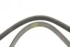 Ремінь генератора Renault Mascott 99-05/Iveco Daily 99-06/Mazda 323 89-96/MX-3 93-98 (4PK1015) BOSCH 1 987 947 860 (фото 4)