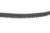Комплект ГРМ Skoda Octavia/Audi A3/A4/A6/VW Golf/Sharan IV 1.8T 96-10 (23x150z) BOSCH 1 987 948 170 (фото 10)