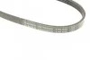 Ремінь генератора Mitsubishi Galant 2.0 GLSTD/Lancer 2.0 92-96 (4PK640) BOSCH 1 987 948 330 (фото 10)