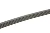 Ремінь генератора Audi 100/A6 4.2 V8 92-97/A8 3.3TDI 00-02 (6PK2615) BOSCH 1 987 948 366 (фото 3)