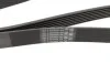Ремінь генератора Renault Espace 2.2 dCi 02-/Land Rover Discovery 4.0 V8 4x4 98-04 (7PK1775) BOSCH 1 987 948 431 (фото 3)