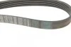 Ремінь генератора Honda CR-V 2.0 01-06 (7PK1730) BOSCH 1 987 948 442 (фото 9)