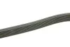 Ремінь генератора Mitsubishi L200 2.5DI-D 05-15 (6PK1496) BOSCH 1 987 948 497 (фото 3)