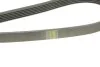 Ремінь генератора Mitsubishi L200 2.5DI-D 05-15 (6PK1496) BOSCH 1 987 948 497 (фото 4)