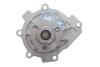 Комплект ГРМ + помпа Chevrolet Aveo 1.4/1.6 08-/Fiat Stilo 1.6 16V 05-07 (24x146z) BOSCH 1 987 948 800 (фото 5)