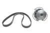 Комплект ГРМ + помпа VW Golf/Jetta/Polo 86-97 (19x128z) BOSCH 1 987 948 802 (фото 1)