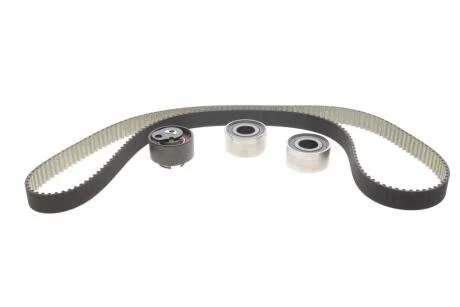 Комплект ГРМ Jaguar XF I/XJ/S-Type II 2.7D/3.0D 04- (195x30) BOSCH 1 987 948 949
