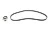 Комплект ГРМ Opel Astra F/Omega A/B/Vectra A/B 1.6/1.8/2.0i 88-03 (20x146z) BOSCH 1 987 948 994 (фото 1)