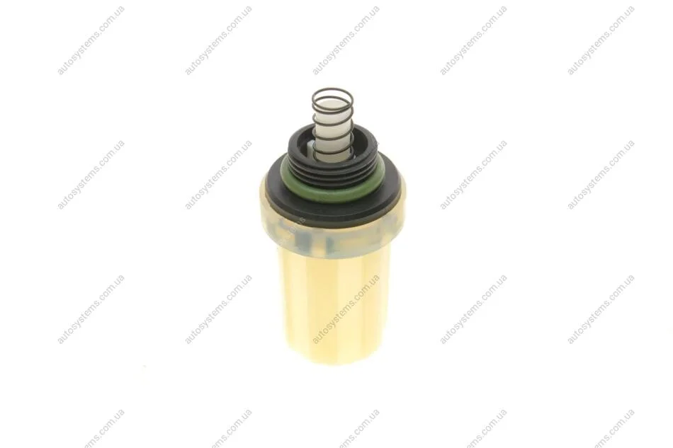 РМК помпи високого тиску BOSCH 2 447 010 042 (фото 1)