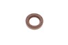Елемент насосу Common Rail BOSCH F 01M 100 984 (фото 1)